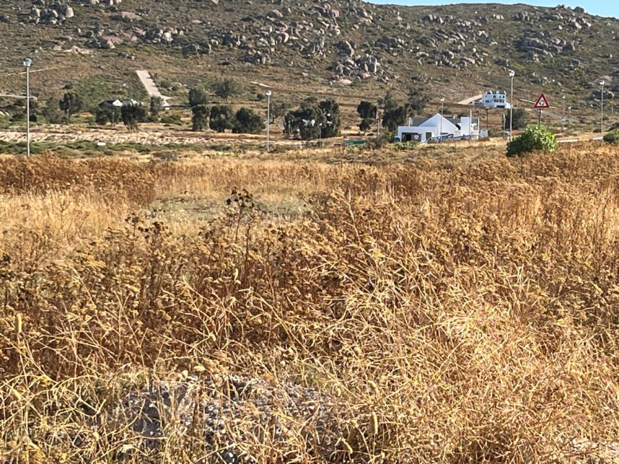 Commercial Property for Sale in St Helena Views Western Cape